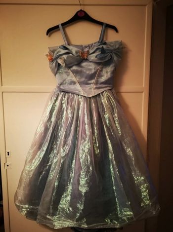 Robe Cendrillon