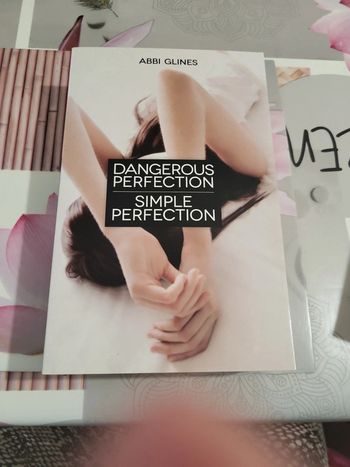 Dangerous perfection/ simple perfection ( 2 tomes en 1 )