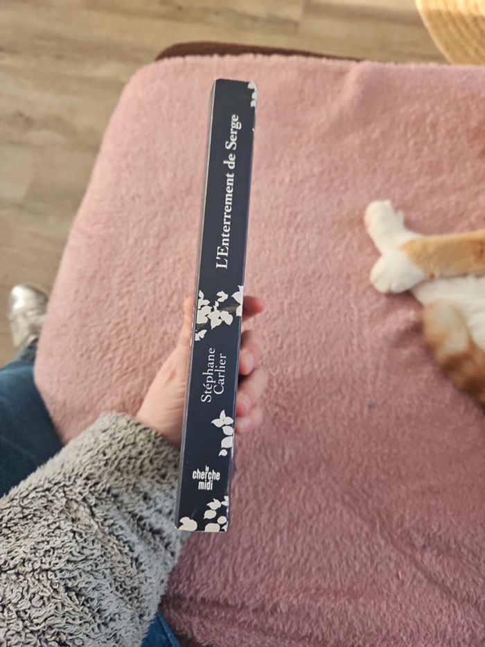 Livre - photo numéro 5