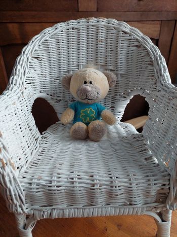P1 - Petite peluche Pimboli, t-shirt trèfle
