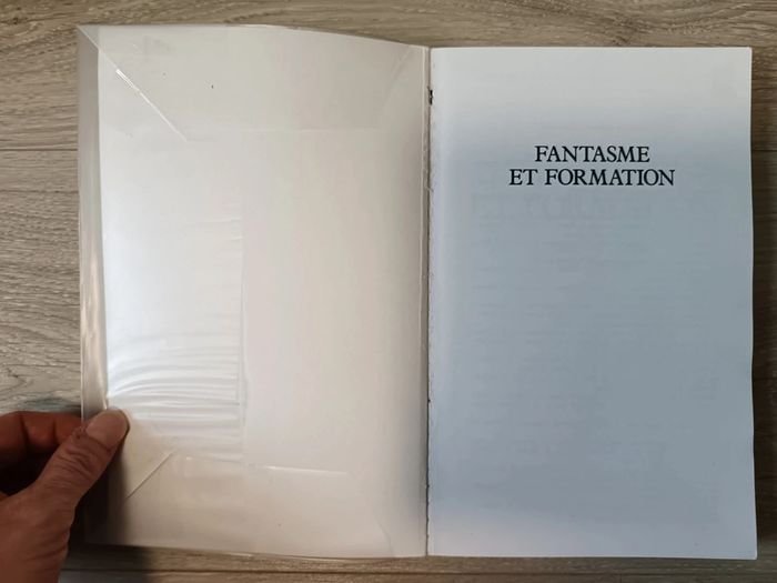 Fantasme et formation
René Kaës, Didier Anzieu, L-V Thomas - photo numéro 7