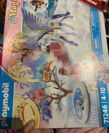 71246 Playmobil Magic Calèche et cheval ailé