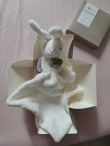 Lapin doudou et compagnie