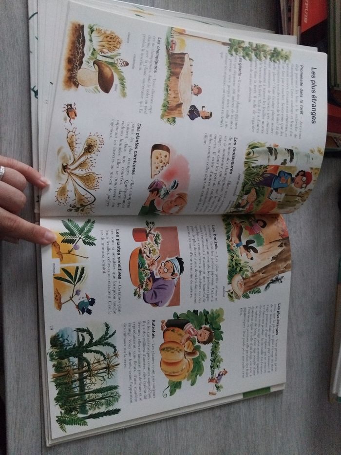 Le livre de la vie - photo numéro 4