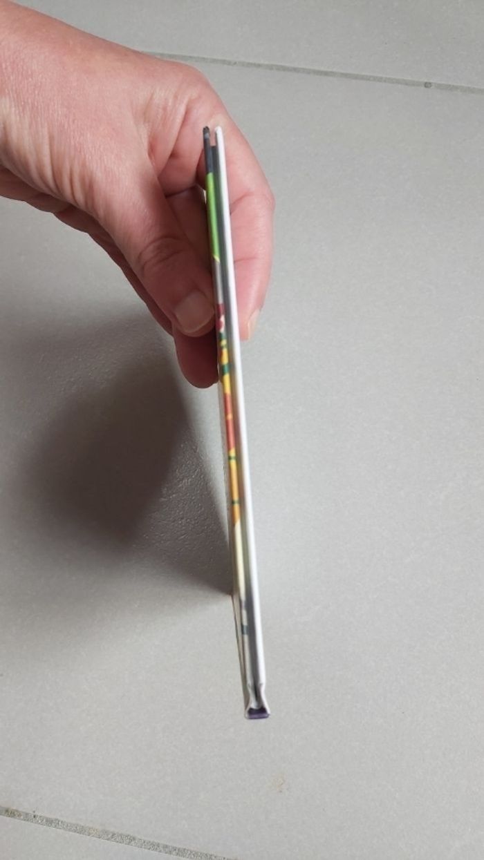 Le perroquet qui ne pipait mot - photo numéro 4