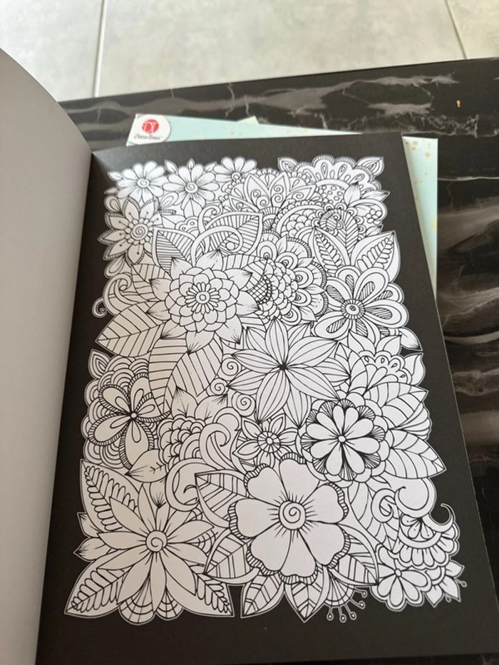 Lot cahier de coloriage - photo numéro 12