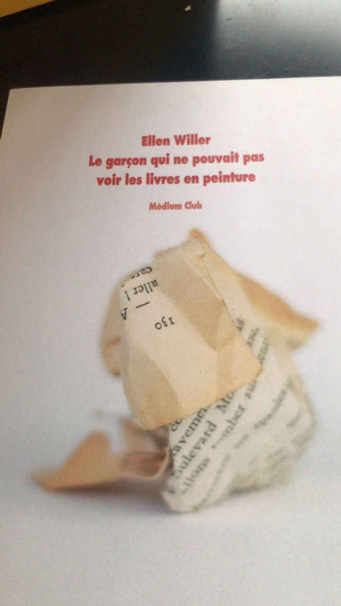 Le garçon qui ne pouvait pas voir les livres en peinture - photo numéro 4