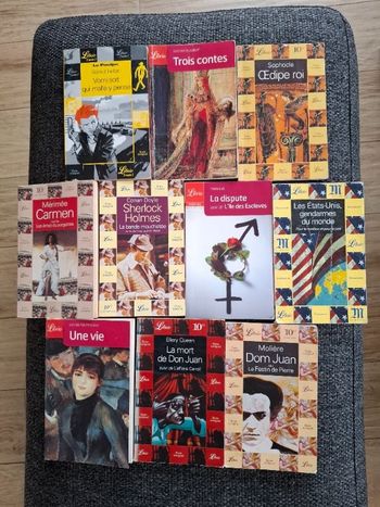 Lot de 10 classiques Librio en bon état