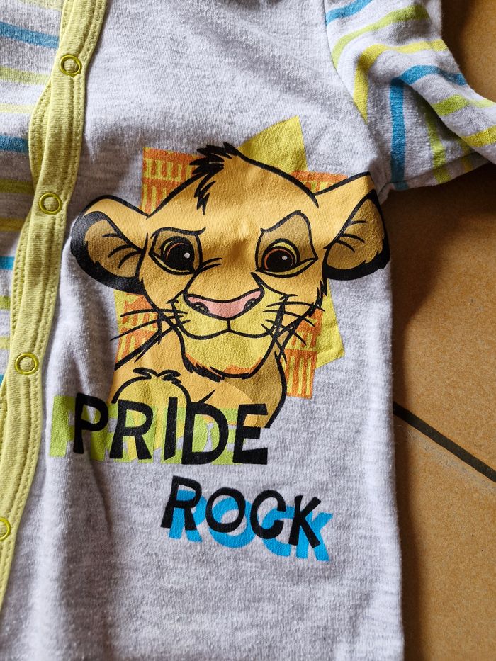 Lot roi lion. - photo numéro 9