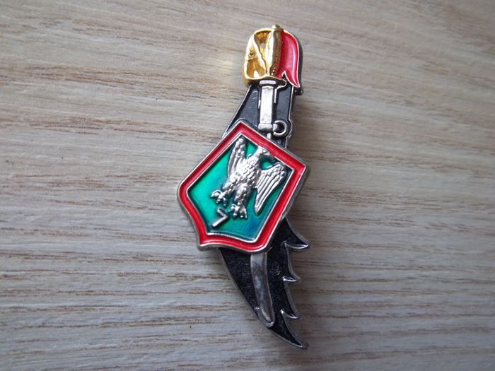 insigne 7éme régiment chasseur arme blindée cavalerie