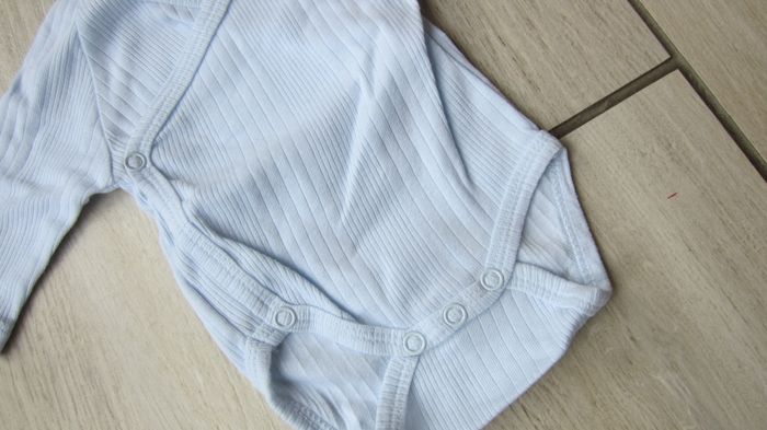 Bodie croisé 1 mois - photo numéro 2