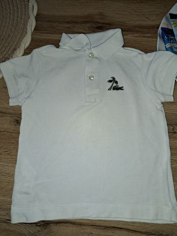 Polo lacoste authentique