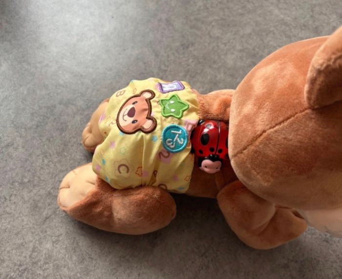 Ourson - photo numéro 2