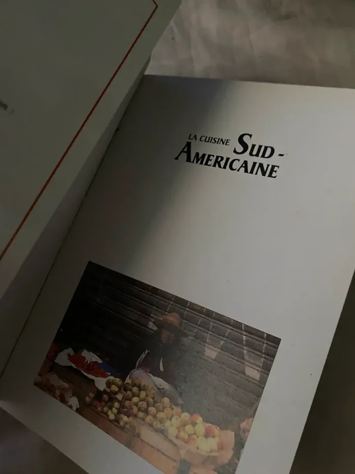 La Cuisine Sud-Américaine – SAEP - photo numéro 2