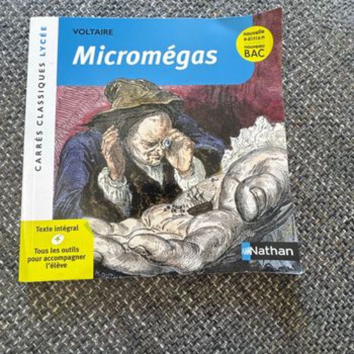 Micromegas