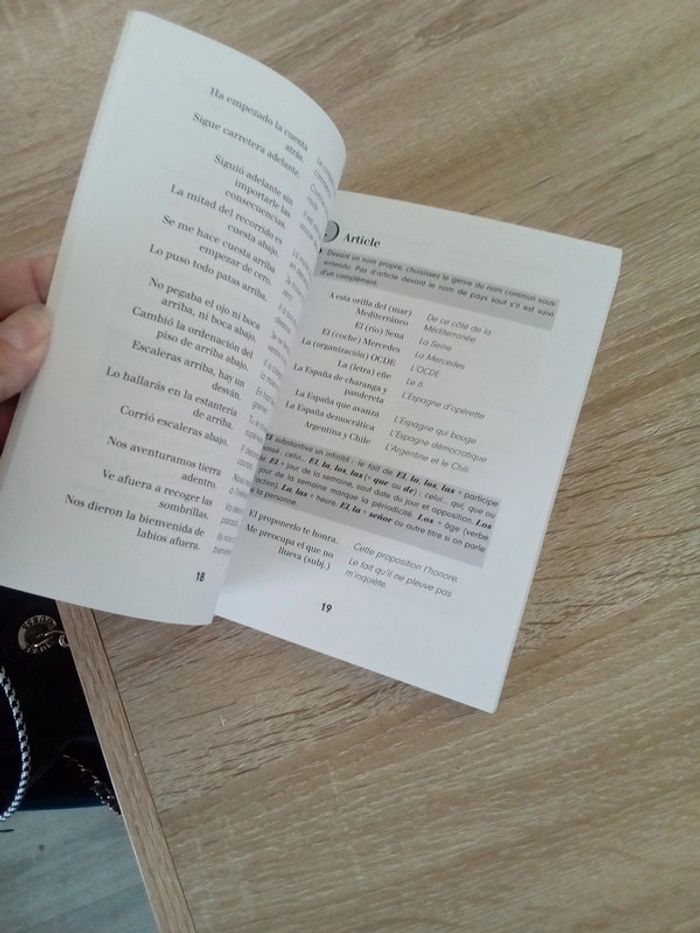 Livre 1001 phrases pour bien parler espagnol - photo numéro 5