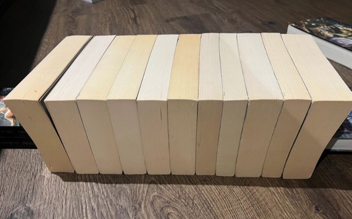 Romans Journal d'un Vampire tomes 1 à 11 Intégrale- L.J Smith Black Moon - photo numéro 10