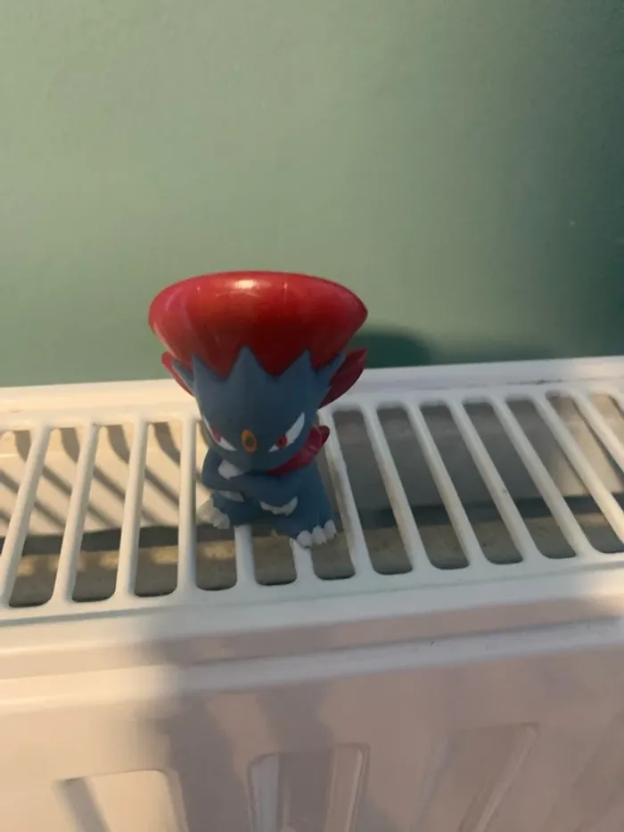dimoret pokemon