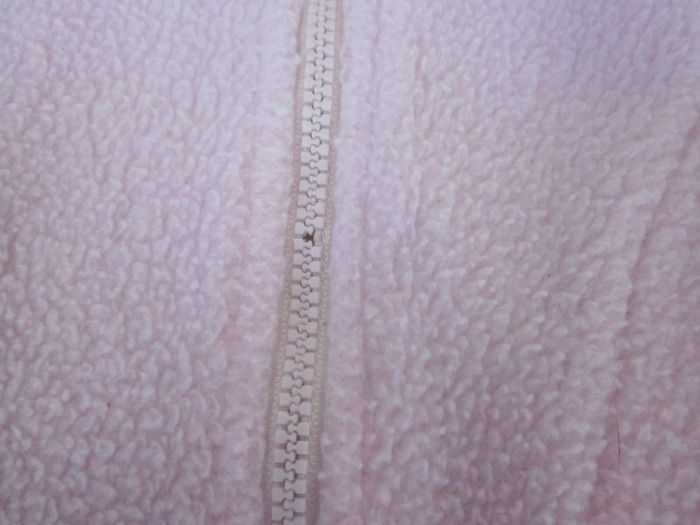 lot fille - photo numéro 3