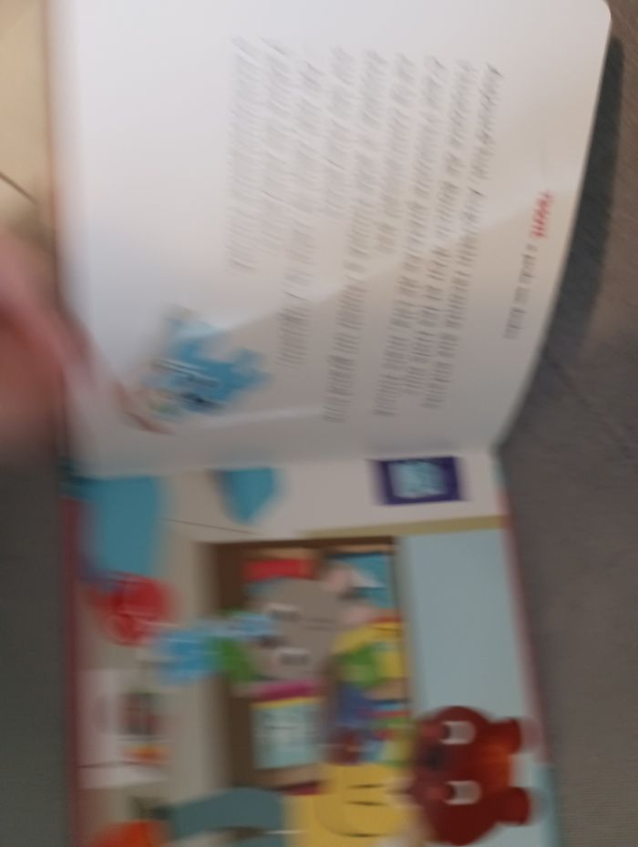 Livre timoté a perdu son doudou - photo numéro 4