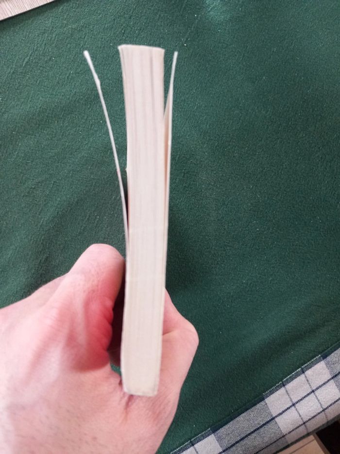 Électre - photo numéro 4