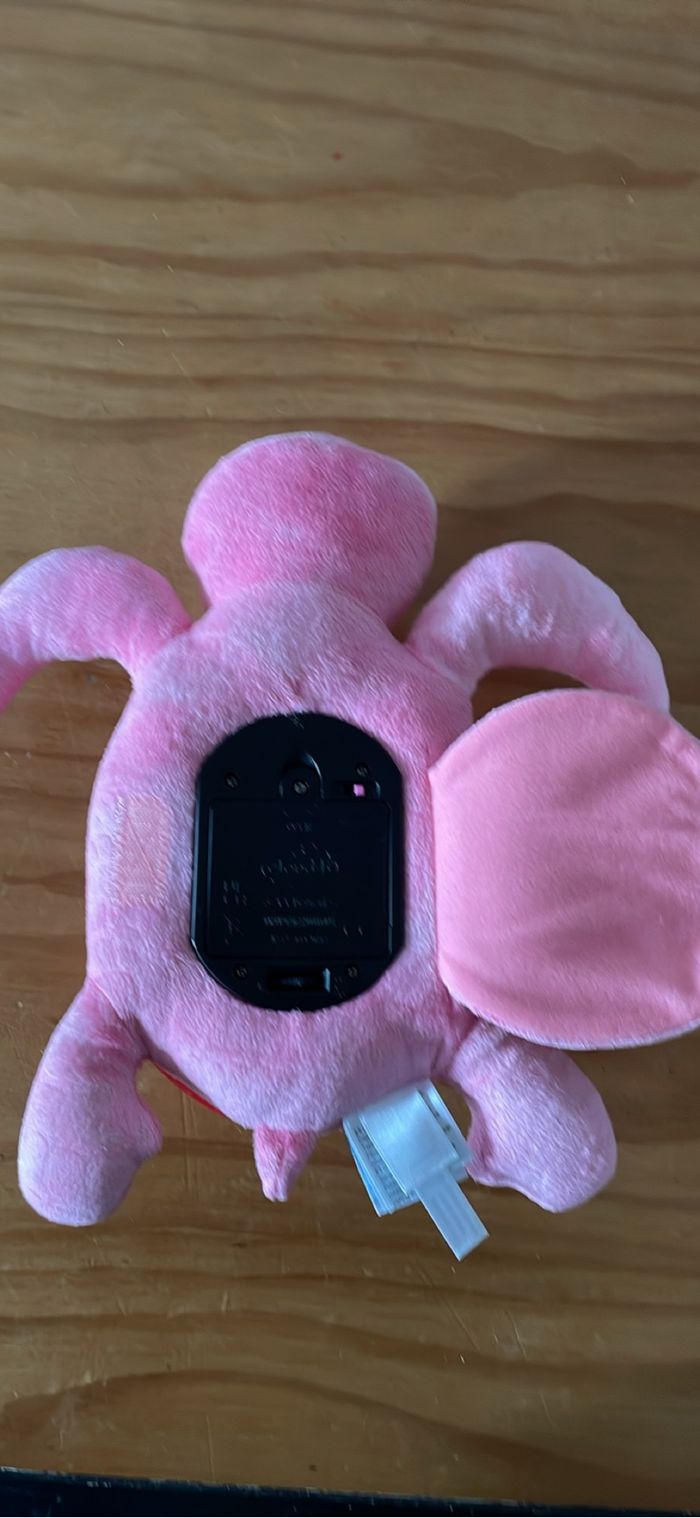 Tranquil turtle - photo numéro 3