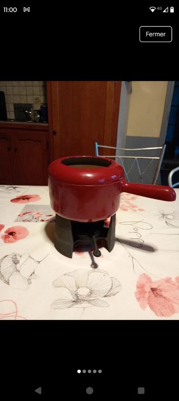 Appareil à fondue 
