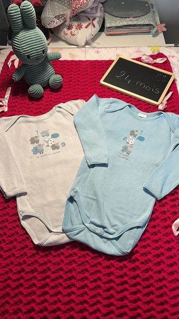 Lot de bodies Absorba 24 mois