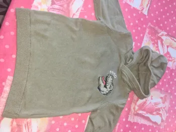 Pull Dino gemo 4 ans