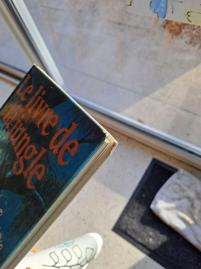 Le livre de la jungle - photo numéro 4