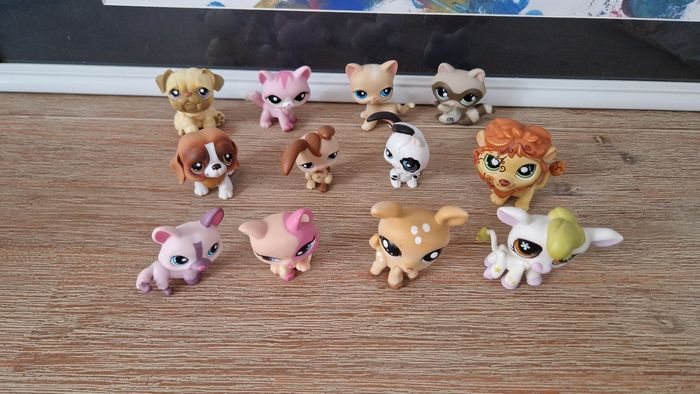 Petshop