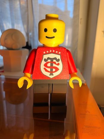 Lego stade Toulousain 20cm 