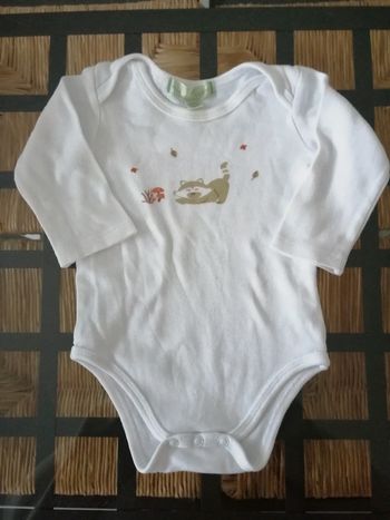 Body raton-laveur autonme