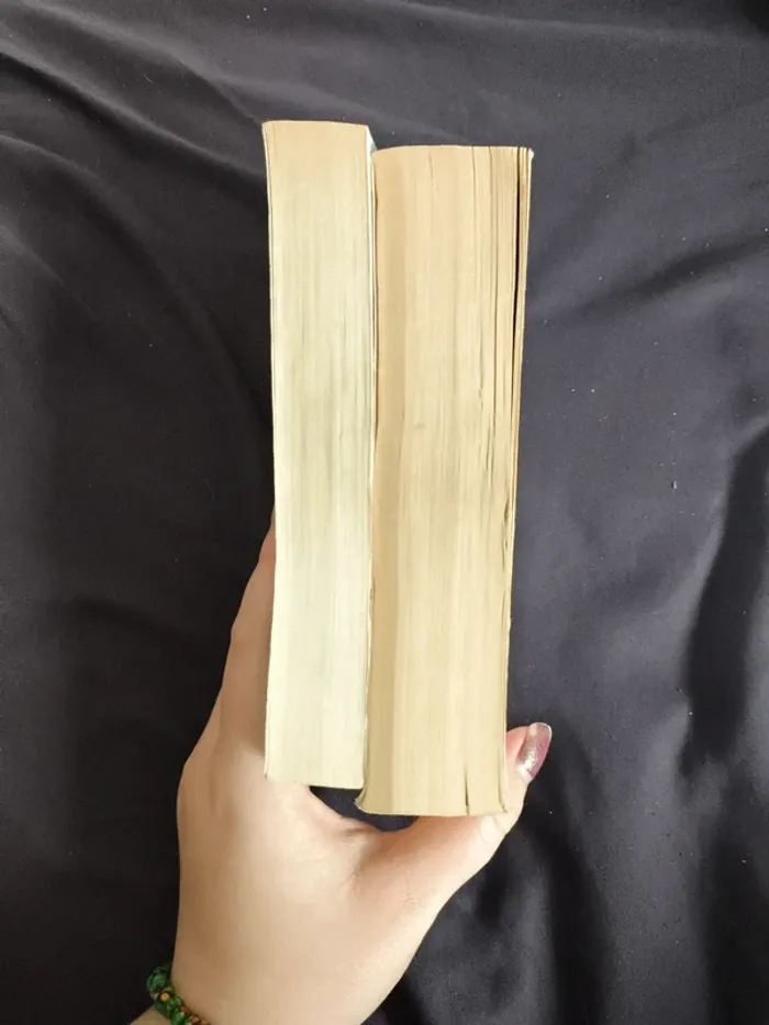 Lot de 2 livres tomes 2 et 3 - photo numéro 5
