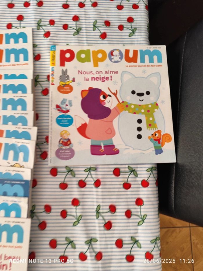 Lot papoum 40 livres dont une année complète - photo numéro 8