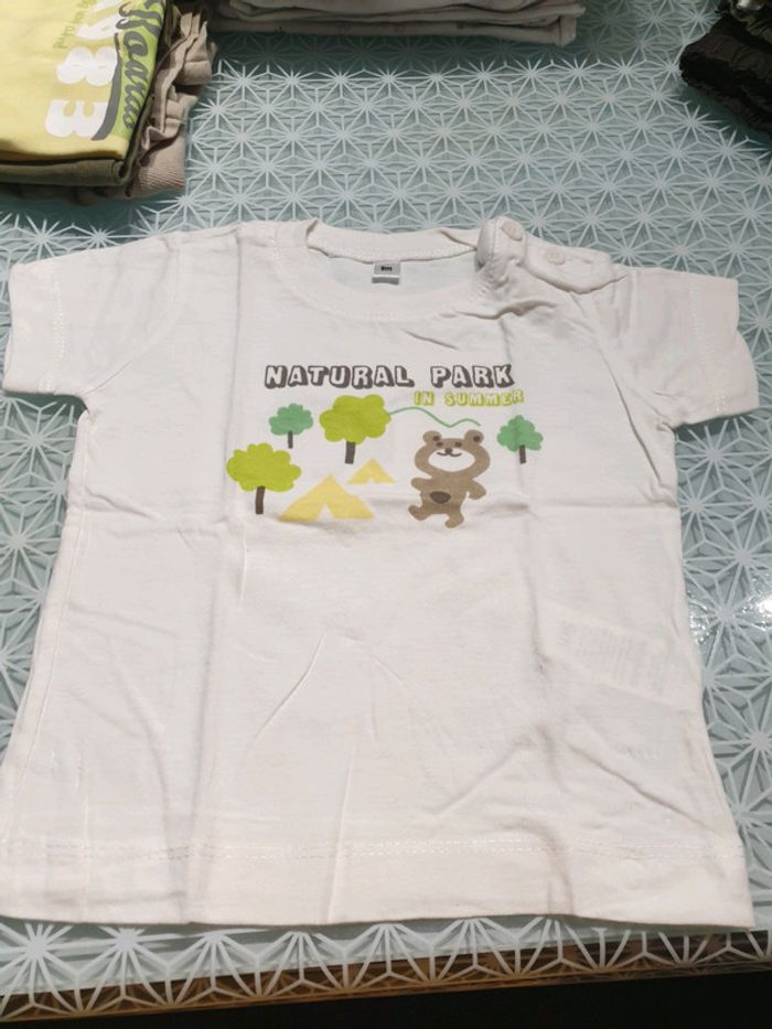 Lot de 3 tee-shirts carrefour 9 mois - photo numéro 3