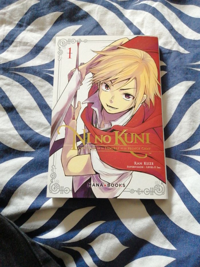 Manga Nino Kuni l'héritier de la lumière et du prince chat tome1