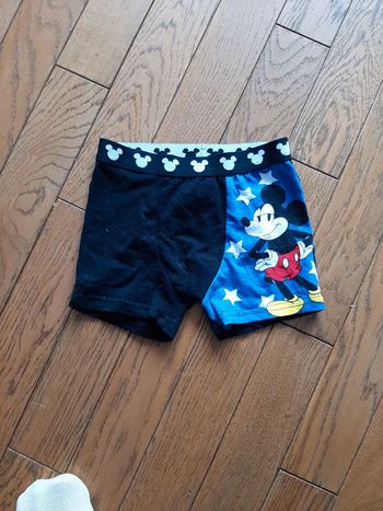 Boxer mickey