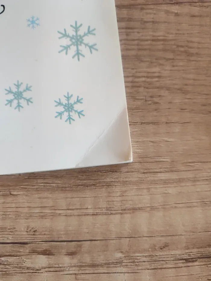 Livre pour enfants "Mme Noël" - photo numéro 3