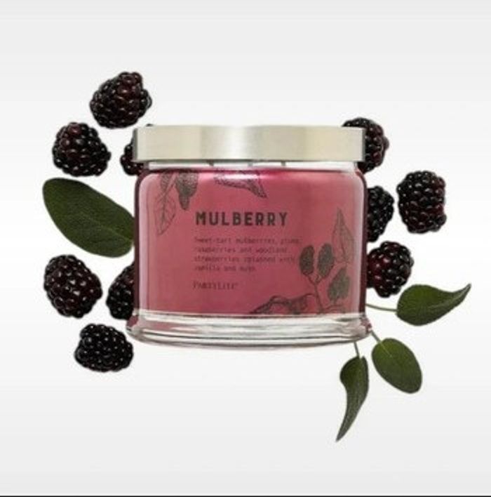 Bougie pot 3 mèches MURE Partylite