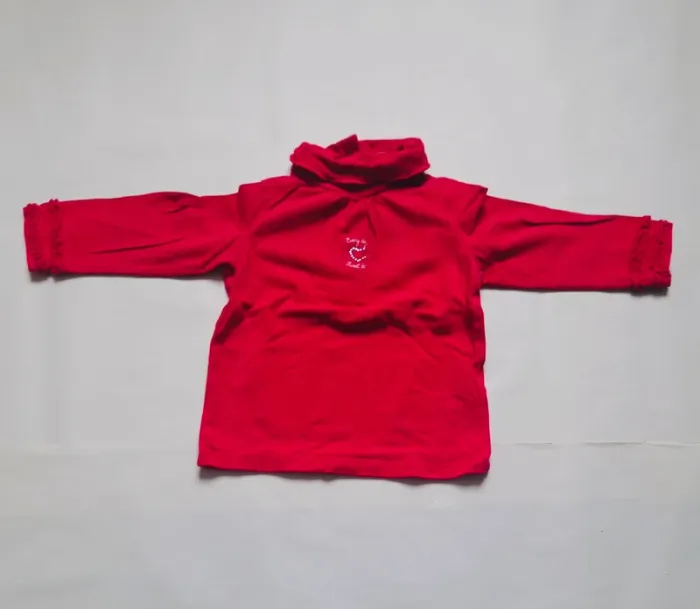 Lot 11 t-shirts manches longues fille 6 mois - photo numéro 4