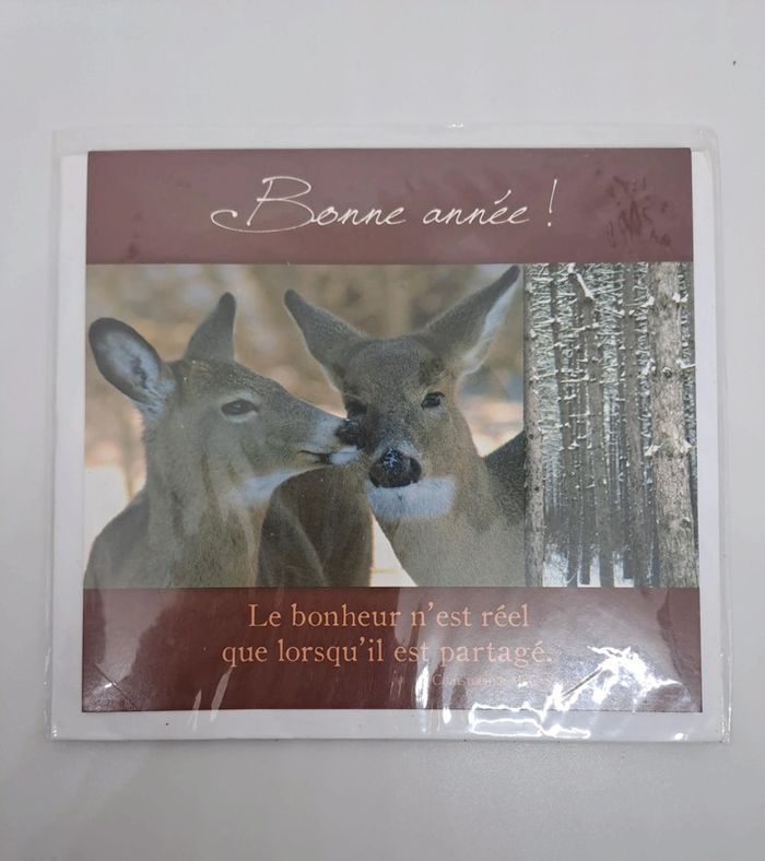 Carte postale avec son enveloppe.
13x12cm.
NEUVE. Christopher McCandless