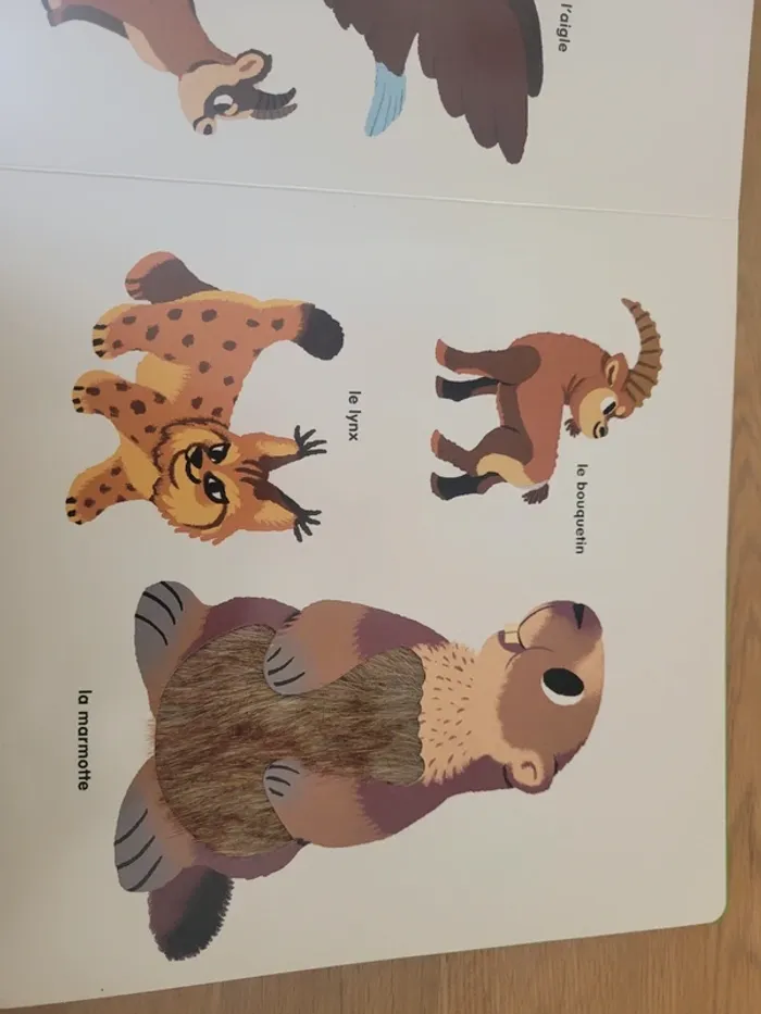 Mon imagier des animaux à toucher - photo numéro 4