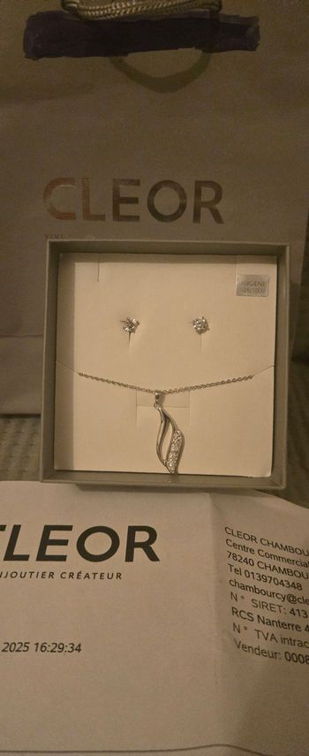 Parure collier boucle d'oreille argent