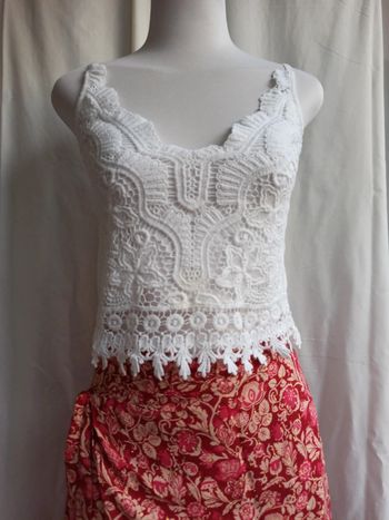 Crop tops a dentelles brodé