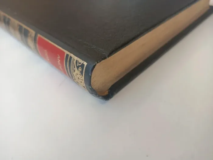 Livre Hans Christian Andersen contes (collection promesses / éditions d'antan ) - photo numéro 4