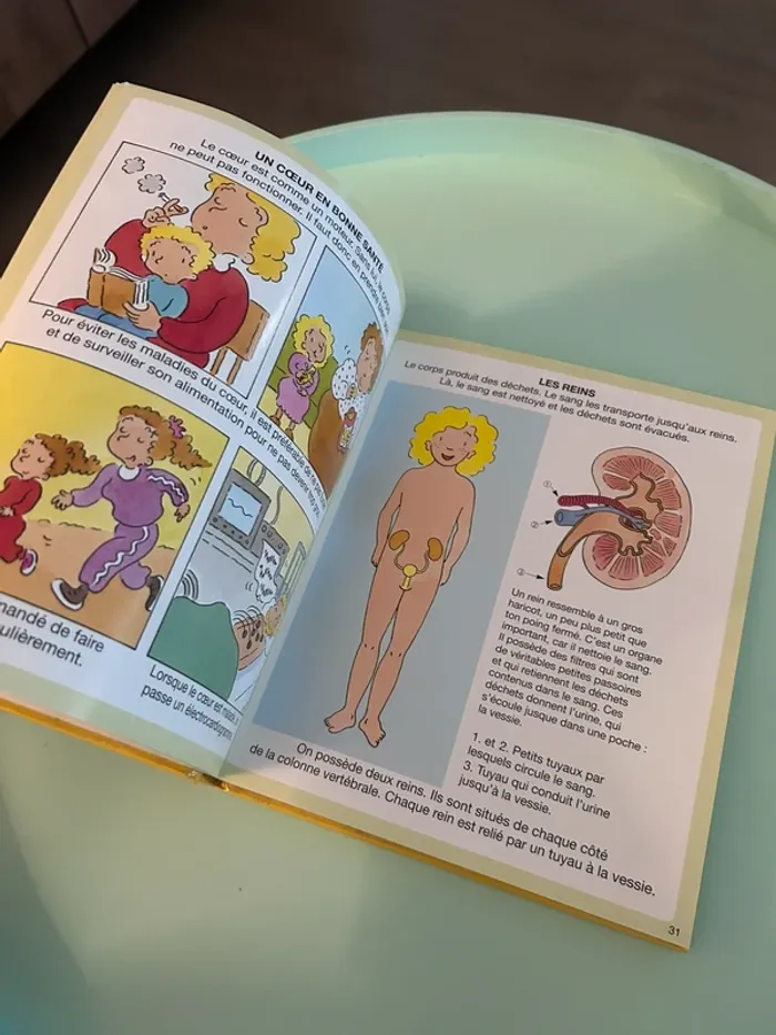 L'imagerie du corps humain - photo numéro 6