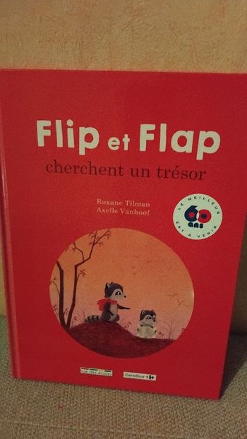 Livre Flip et Flap cherchent un trésor 