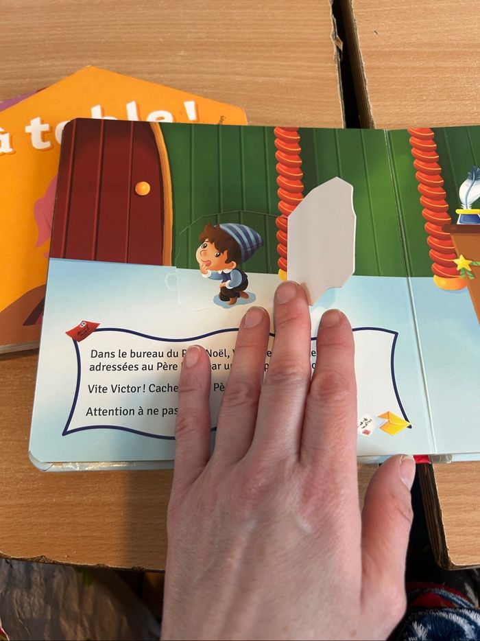 14 livres à volets - photo numéro 8