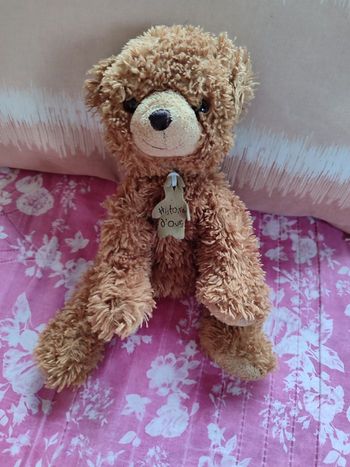 Doudou ourson histoire d'ours